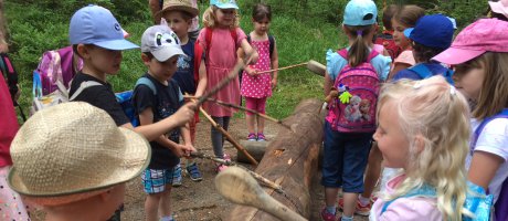 Fünf Kindergärten Wandern im Wald